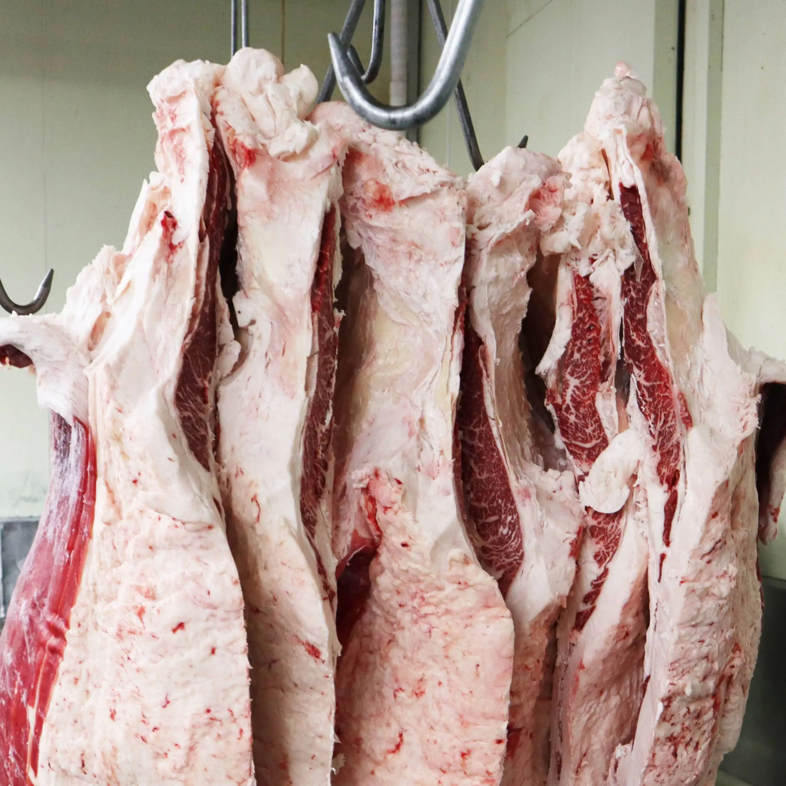 Японский Вакуумный пакет для Свежего Замороженного Мяса wagyu, черный резак для говядины