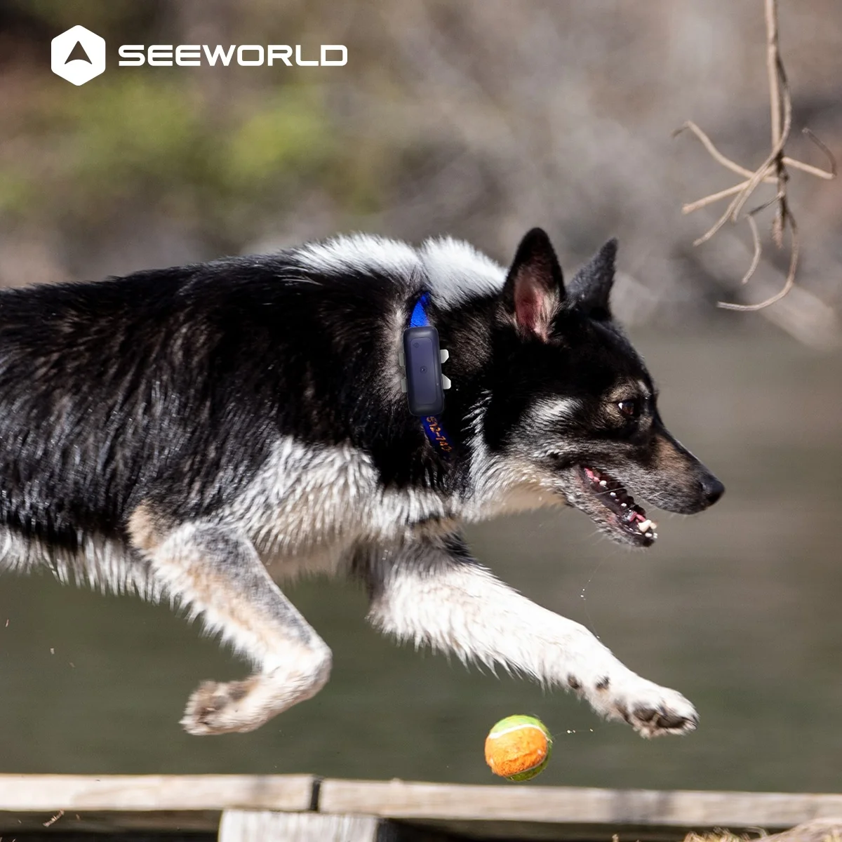 Waterproof IP67 4G Mini Locator Smart Real Time Location Localizador Pet Tracker GPS Tracking Device For Dog Cat Collar