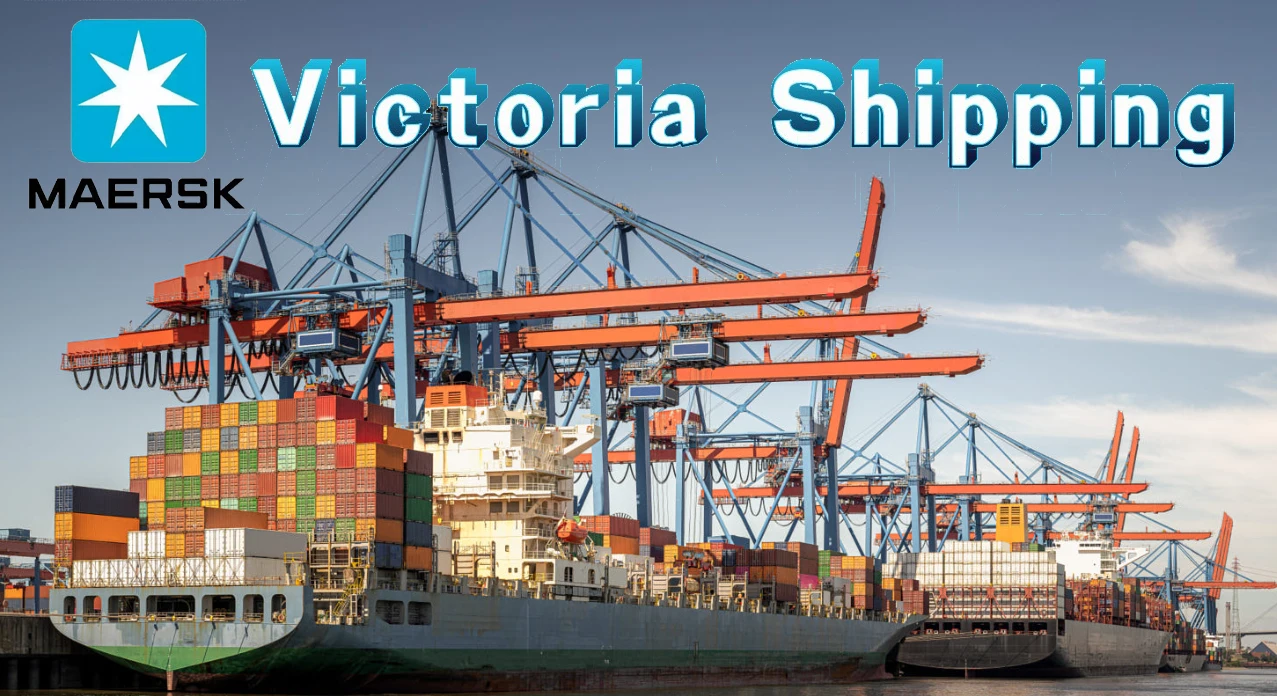 Cheapest Sea freight forwarder shipping agent ddp ddu Romania in Shenzhen,Guangzhou Yiwu China to UK France Europe