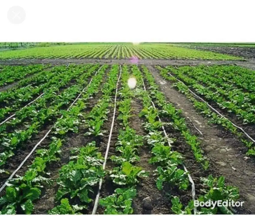Agricultural Irrigation Micro Watering Systems water irrigation systems for farm and lawn for Farm