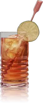 Kaly Tropical Energetic Fruit Bottled Beverage Guarana Flavored Syrup