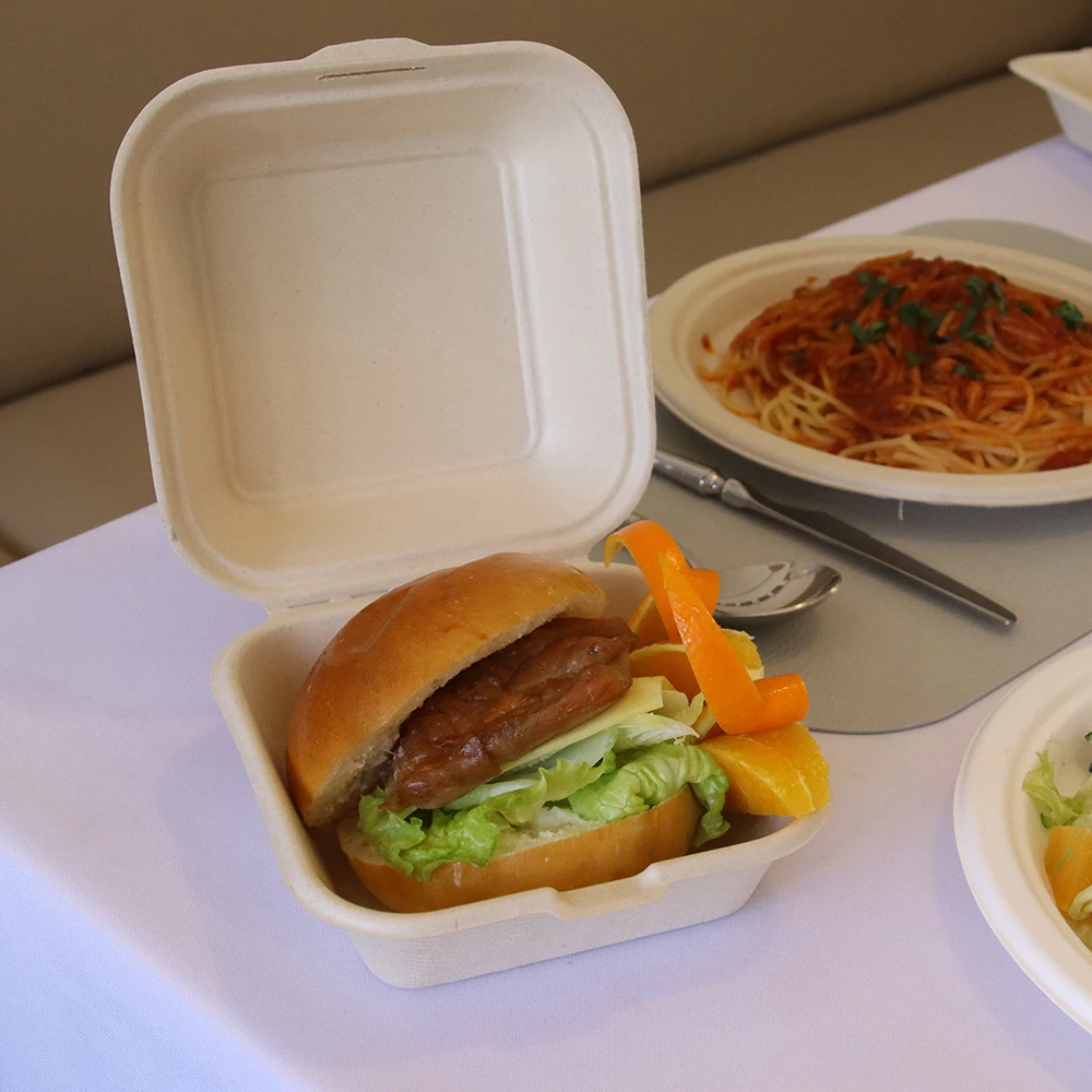 5 inch Hot SaleBiodegradable Bagasse Food Hinged Container  Disposable Sugarcane Pulp Lunchboxes