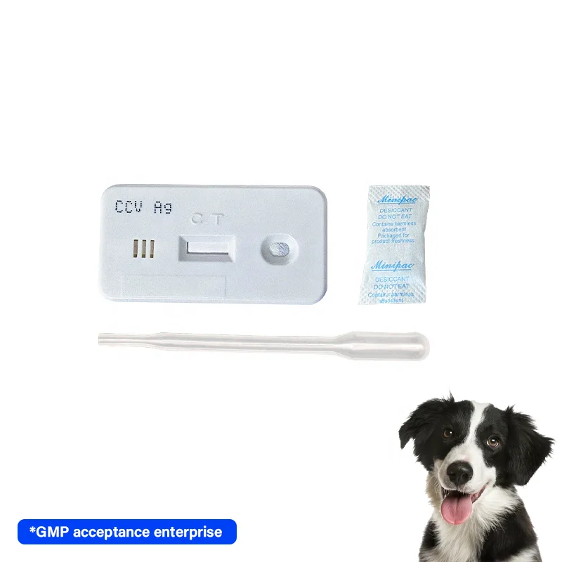 Quickingbio Pet Care Canine CCV Ag Test Kit / Canine Rapid Test / Vet Test Detection Instrument for veterinary detection