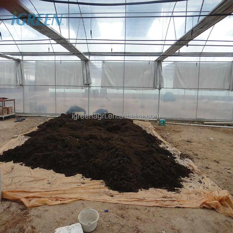 30 X 100 Greenhouse Greenhouses for Vegetable Garden Chinese Greenhouse Kit Customized Film Large Green House Metal Frame 4m--7m