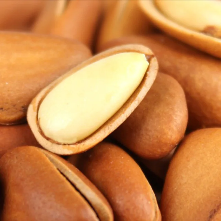 Hot Selling Raw Pine Nut Kernel without Shell