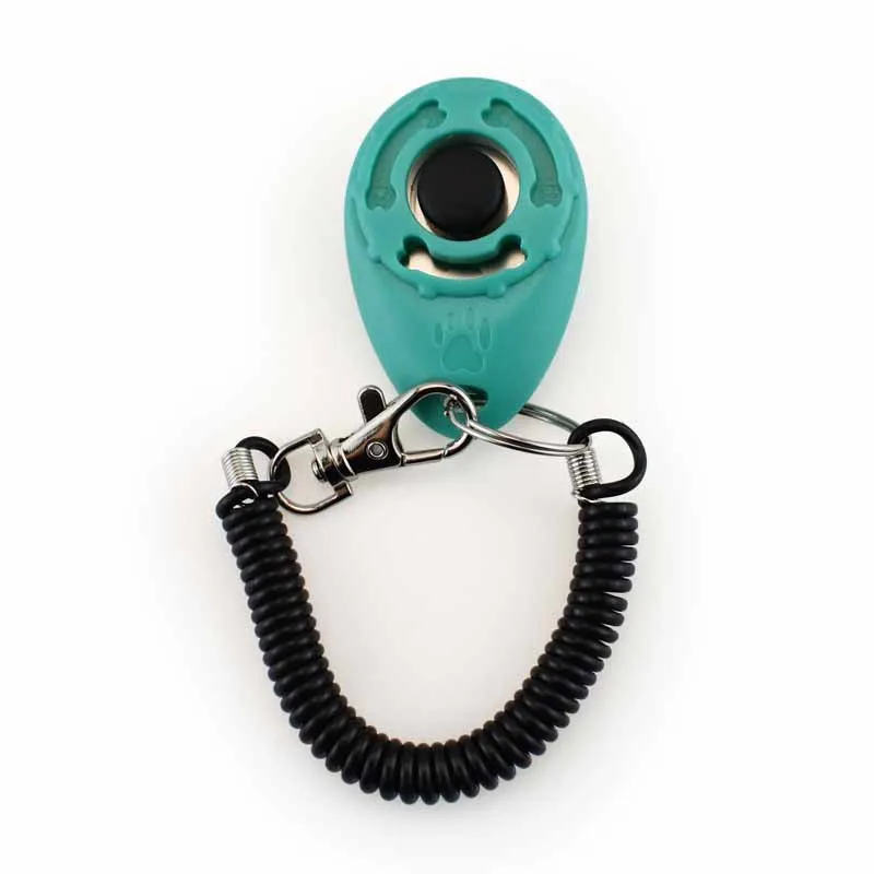 Oval clicker pet trainer dog training device