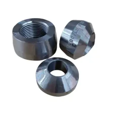 China Good price mss sp 97  Forged Pipe fittings  weldolet manufacturer