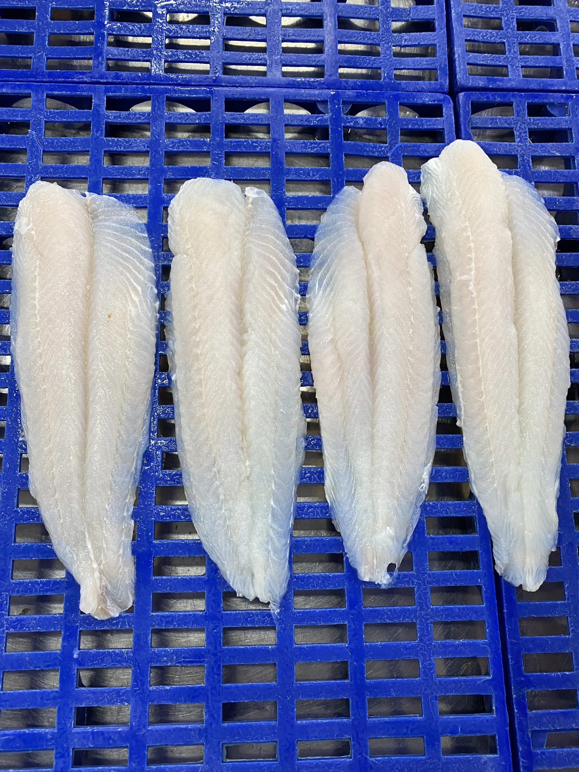 Замороженные филе рыбы IQF Pangasius Basa Tra Swai во Вьетнаме упаковка 10 кг HACCP - TANIS IMEX CO. LTD