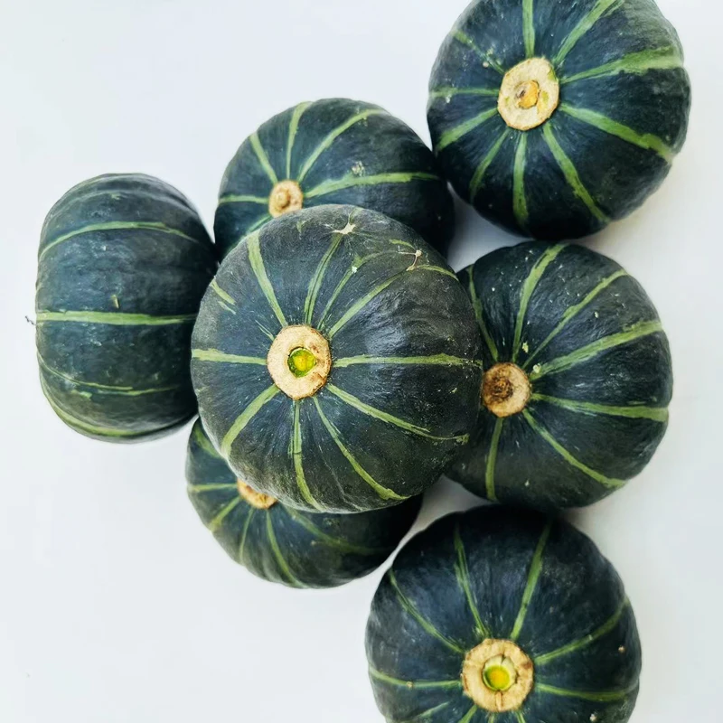 High Quality Cheap Freshly Picked Pumpkin Lot With Quick Preservation Methods