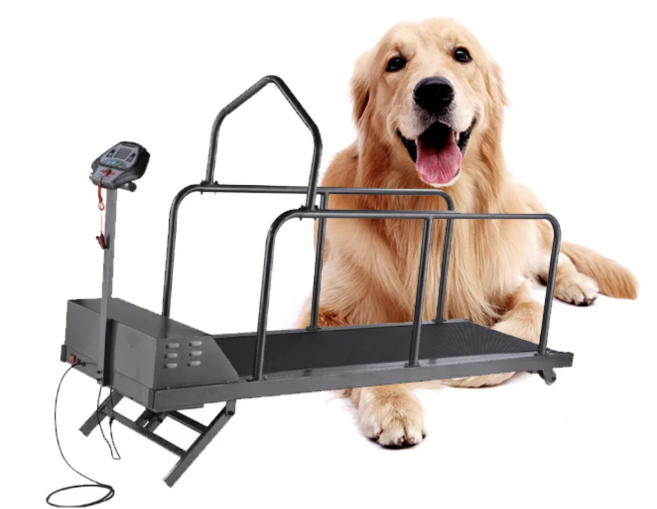 Dog pet low speed rehabilitation treadmill for unweight gait training system