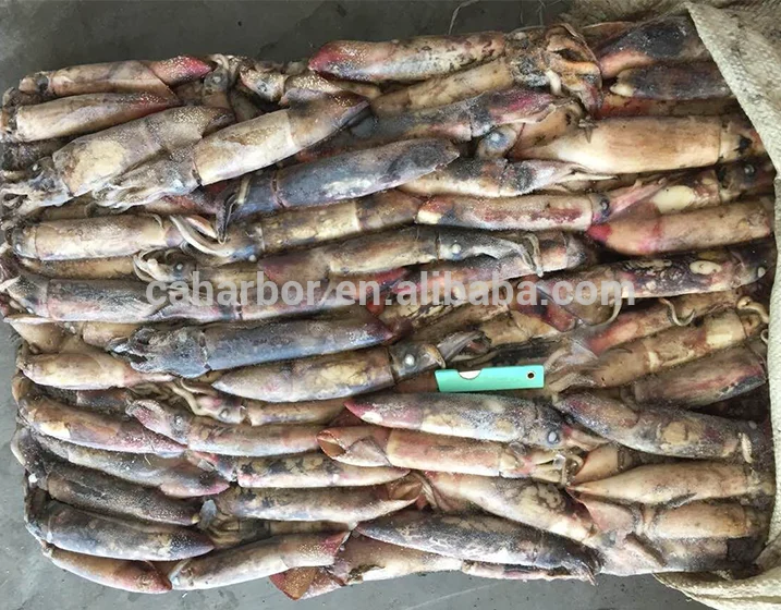 Great quality new catching frozen squid black skin squid ink for cooking for market