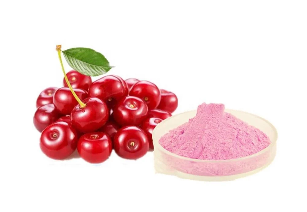 100% Pure Natural Acerola cherry extract Powder
