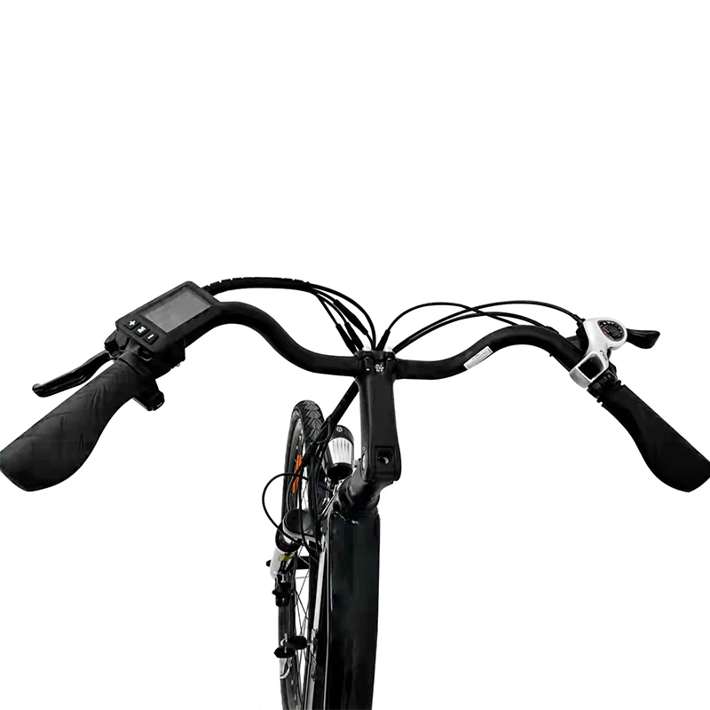 OEM 250w/350w 36V 7.8/10Ah lithium battery city electric bycicle/ebike with EN15194