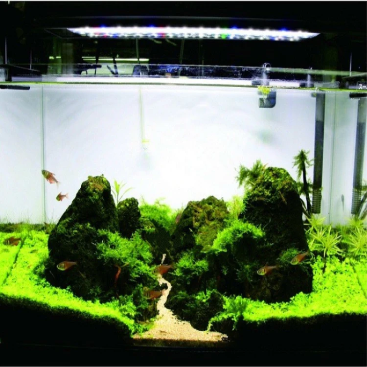 Planted Plus Aquarium Light, Freshwater Aquarium LED Light with Remote Controller, 24/7 Automated Aquarium Light