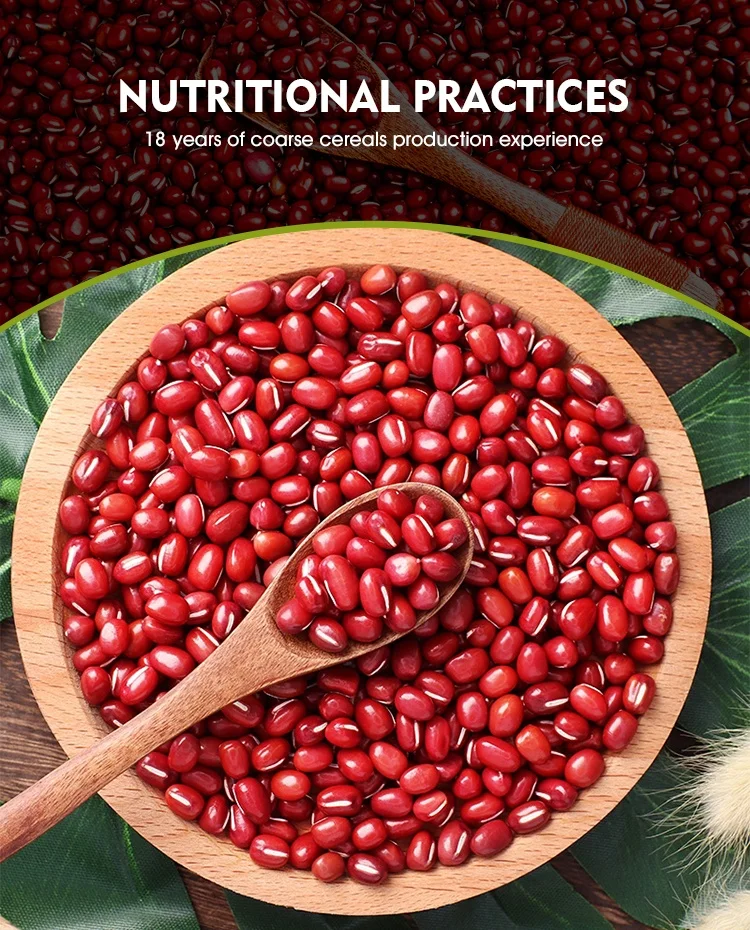 Chinese Small Red Beans adzuki beans azuki bean for sale