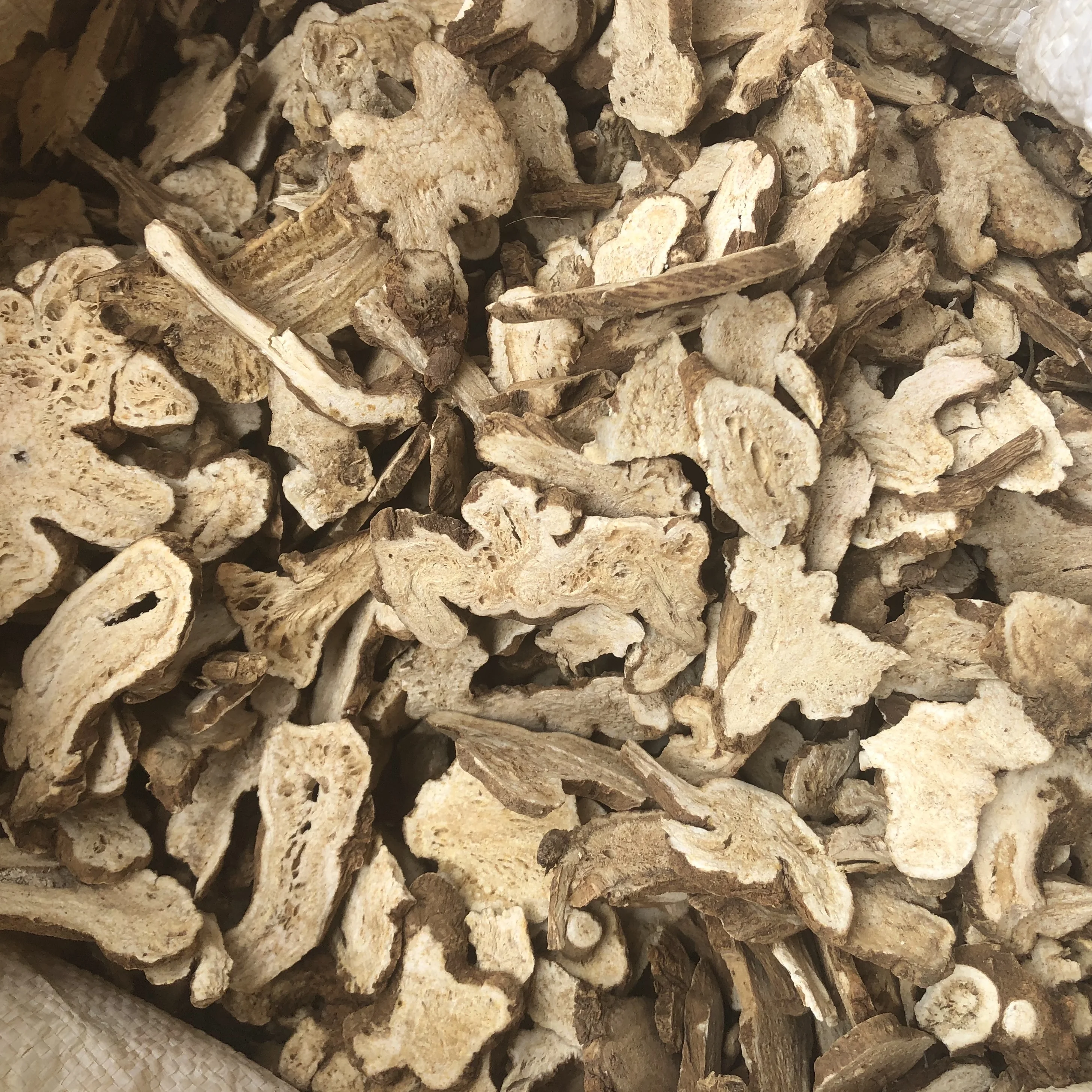Factory Supply Raw Herb Selected Rhizoma Atractylodis Macrocephalae Bai Zhu