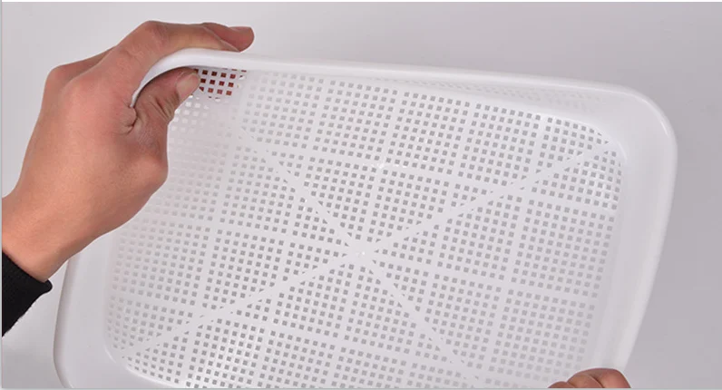 Plastic Seed Sprouter Trays, BPA Free Green Germination Tray, Reusable Nursery Seedling Sprouting Tray