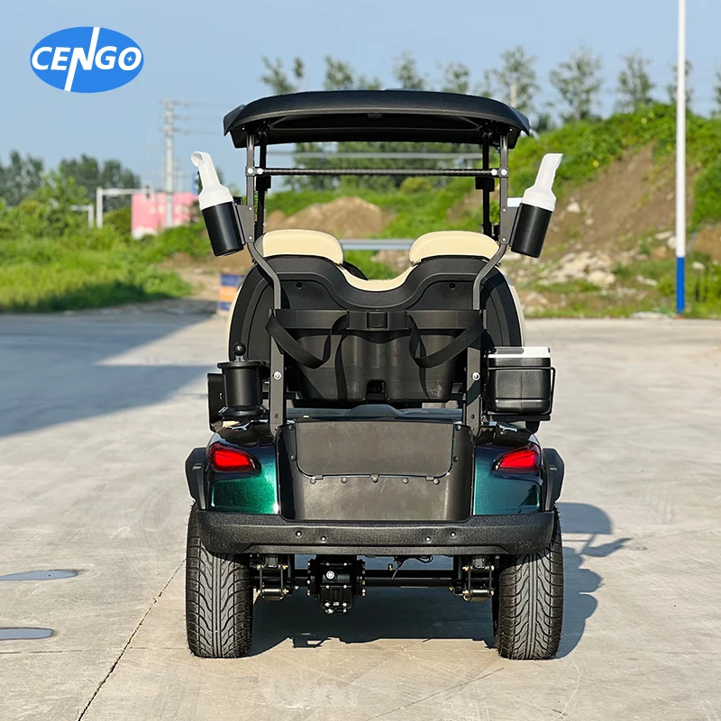 Luxury Off-road 2 passager Jeep electric golf kart with 48v 5kw lithium battery powered ambient light golf carts