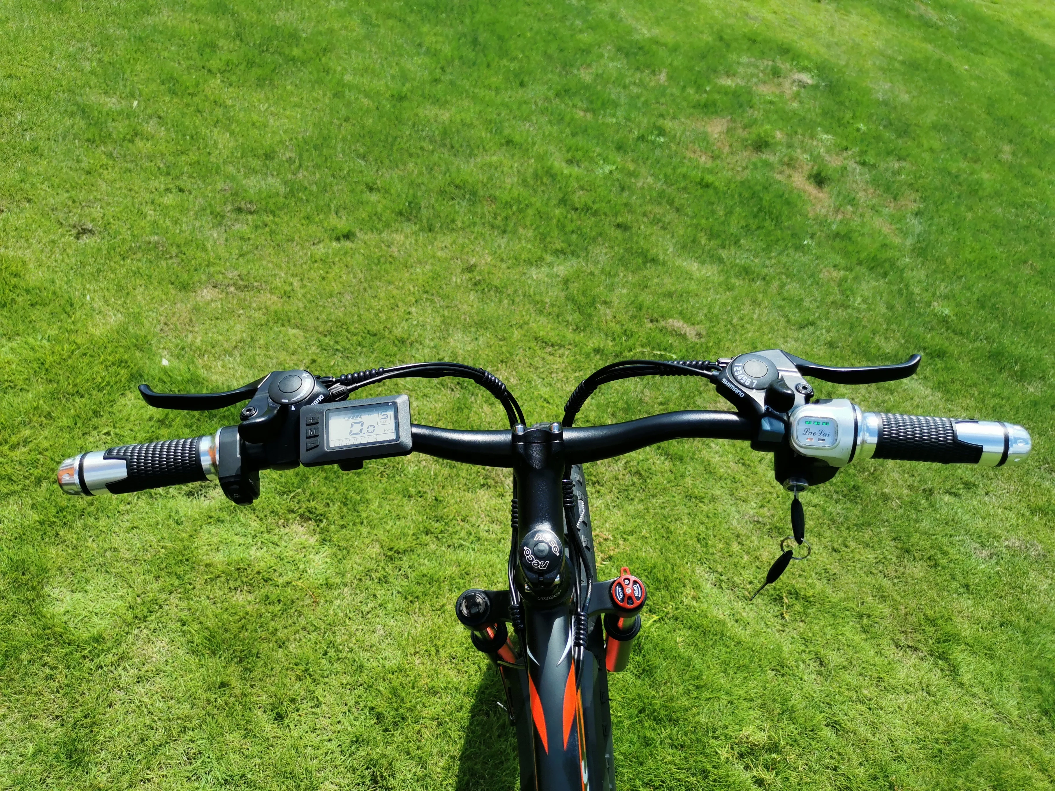 High Quality Bike Mountain Fat Tire electric bicycle 1000W 48v electric bike Good Price Ebike Electric Bicycle