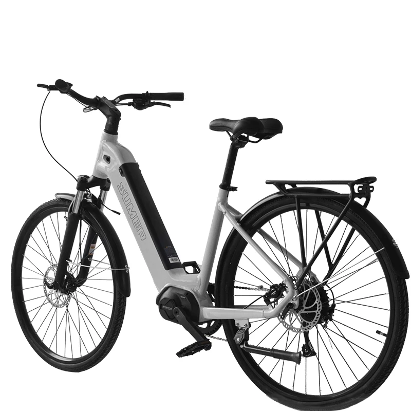 48V 350W Mid Mounted Motor Electric Scooter Electric City Bike For Adult