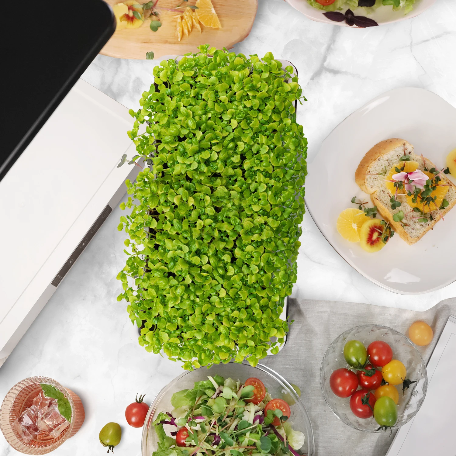 hydroponic self water garden starter set easy harvest Automate Self Watering micro green grow kits