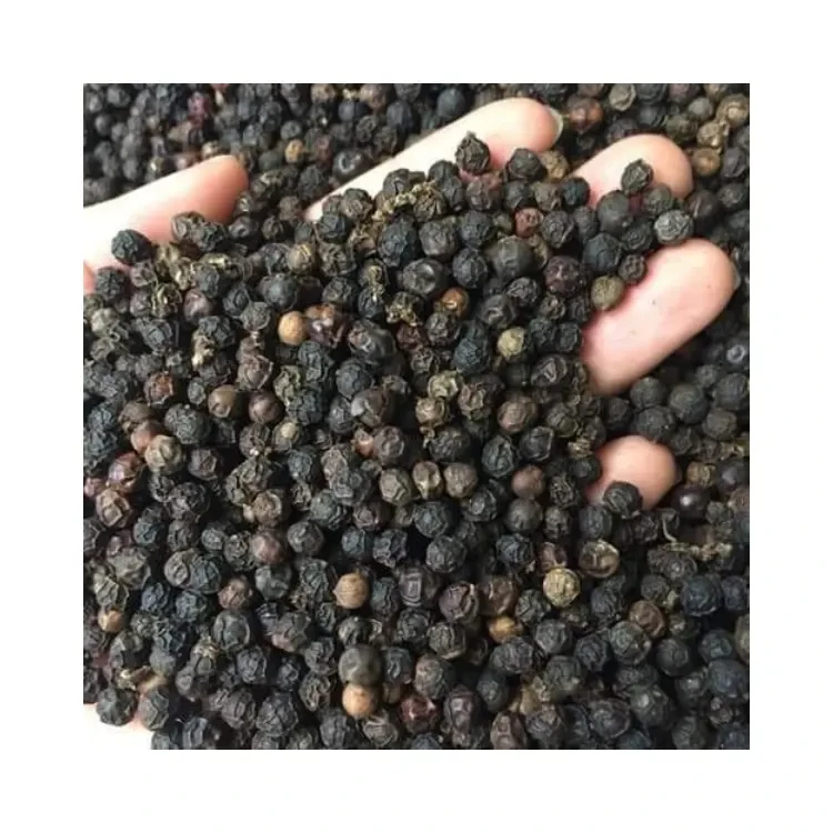 100%Black From Spices Organic Black Wholesaler Herbs Food Ingredients Spicy Pepper black pepper 550gl  300 gl