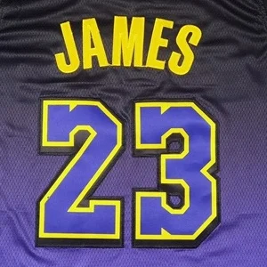 2024-25 Latest Purple Stitched Basketball Jersey Los Angeles 23 James 24  Bryant 3 Davis