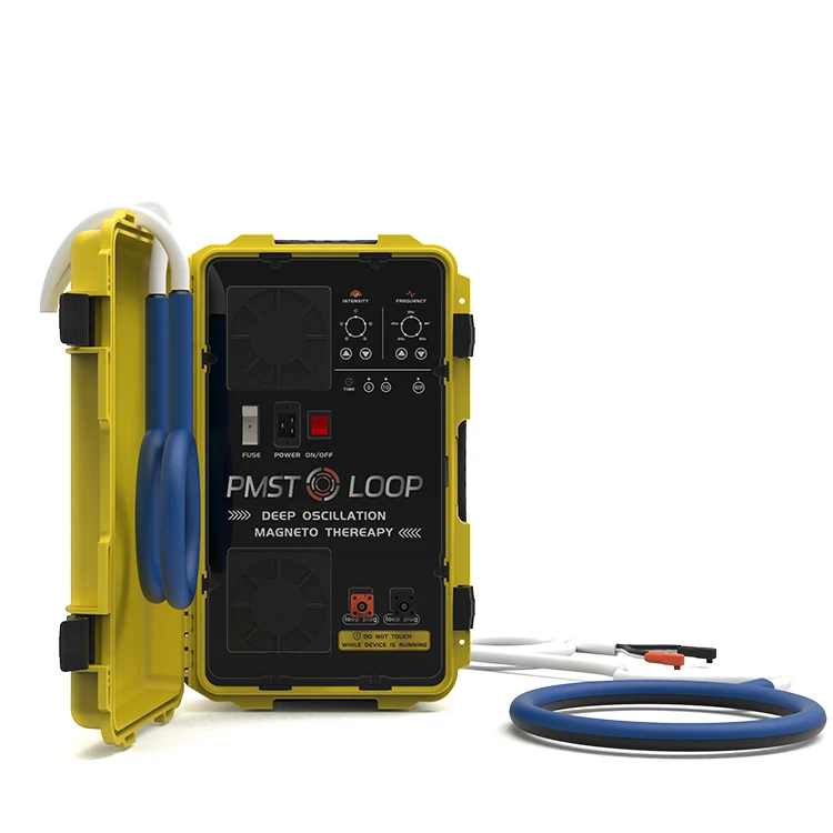 Pemf 6000 Gauss Double Loop Pain Relief Physio Pmst Magneto Physiotherapy Magnetotherapy Pulsed Electromagnetic Field Therapy