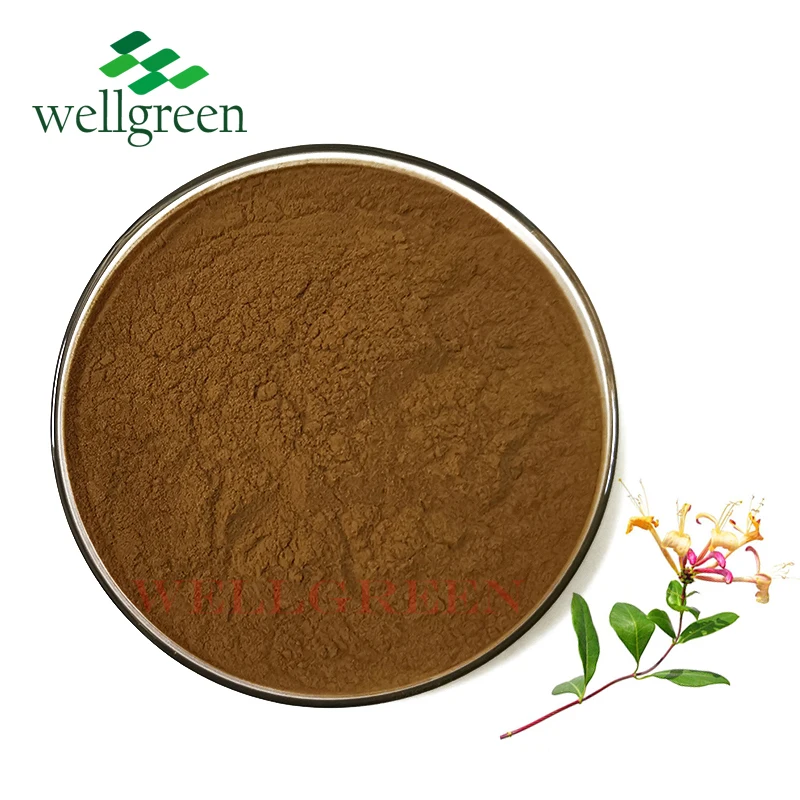 
Honeysuckle Flower Extract/Lonicera Japonica Extract/Flos Lonicerae extract 