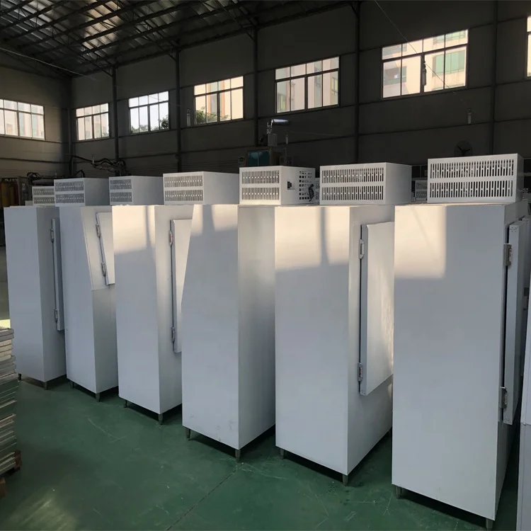 Ice merchandiser outdoor slanted solid door bagged ice storage freezer