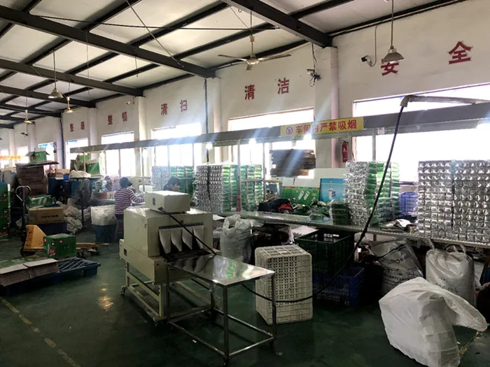 5w 7w 9w 11w 13w 15w 18W 2U Energy Saving CFL Bulbs with E27 base 220V energy-saving lamps