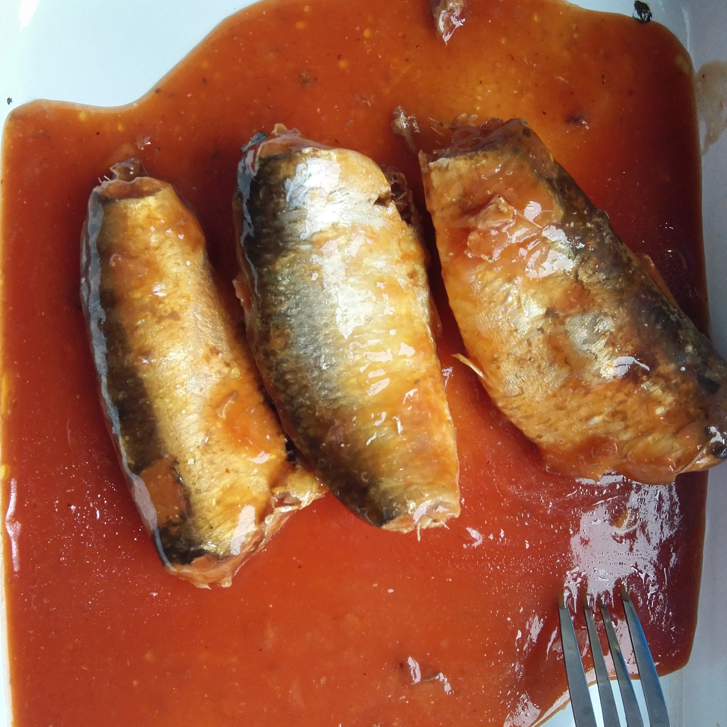 Lower price delicious Tomato Sauce canned mackerel/sardine in tomato sauce