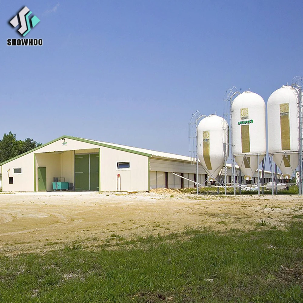 Frame Light Steel New Design Cheap Modern Chicken Poultry Farm Chicken House Certificate Steel Mesh or Sandwich Panel 5 Years