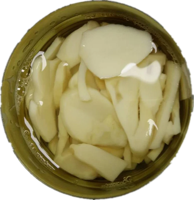 Good quality King Oyster Mushroom Canned Mushroom Export