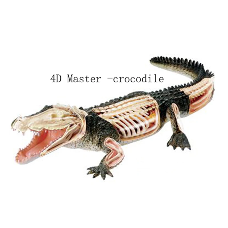  Крокодил 4d мастер-головоломка Сборка игрушки животных анатомическая модель для