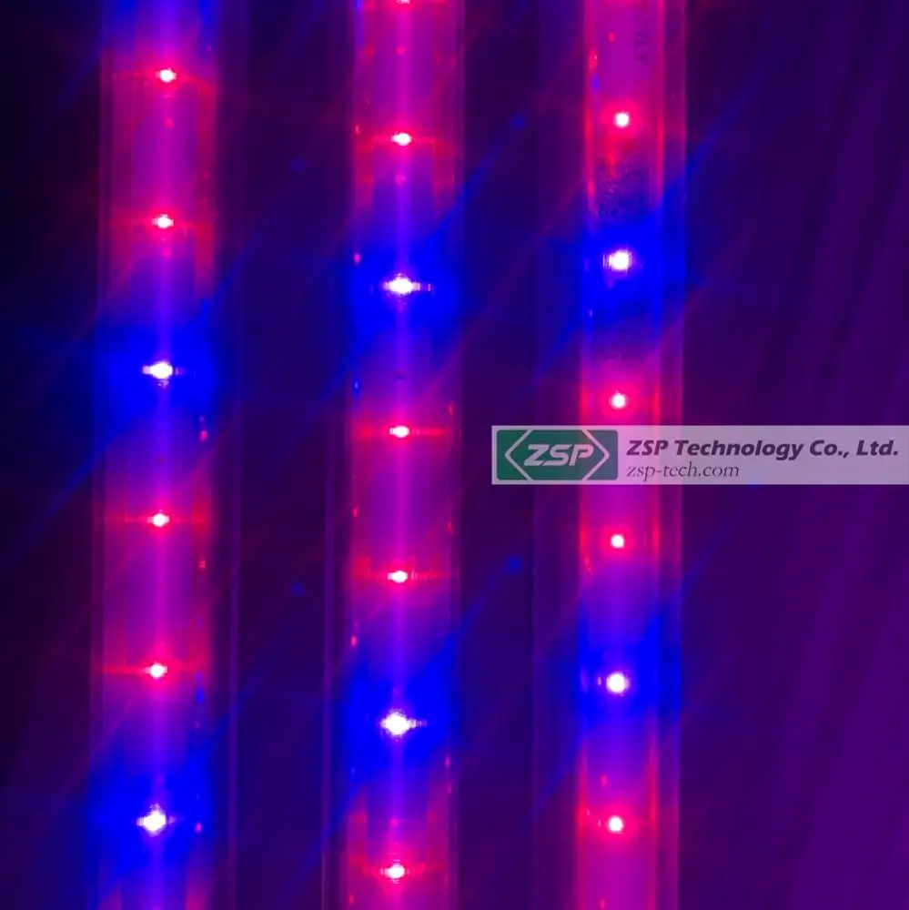 ZSP waterproof ZPDT802 LED Grow Light tissue culture philodendron