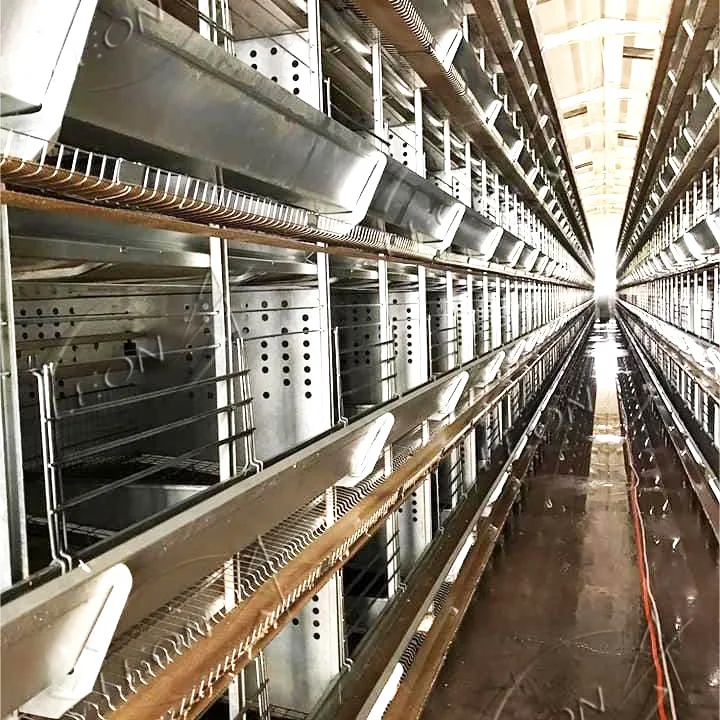 High Quality H Type Layer Birds Cages for Big Chicken Made in China