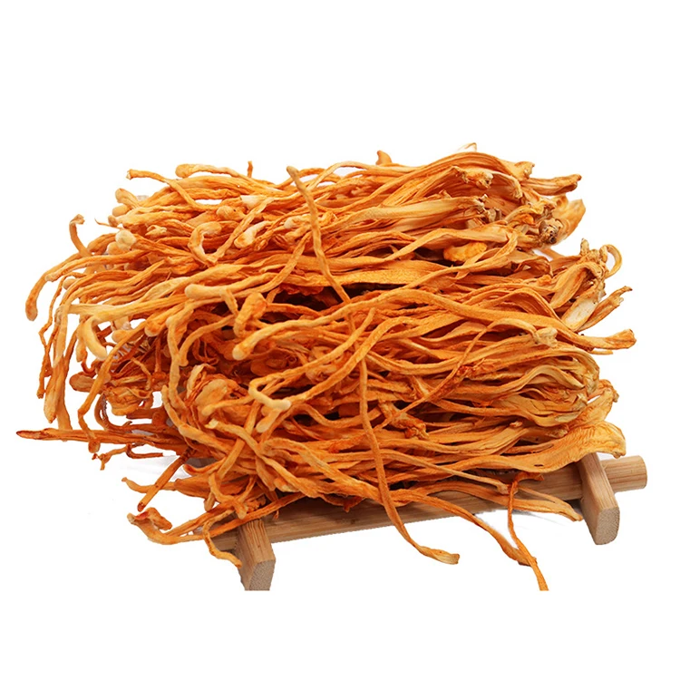 Прямая поставка с завода кордицепс цветок милитари фруктовое тело