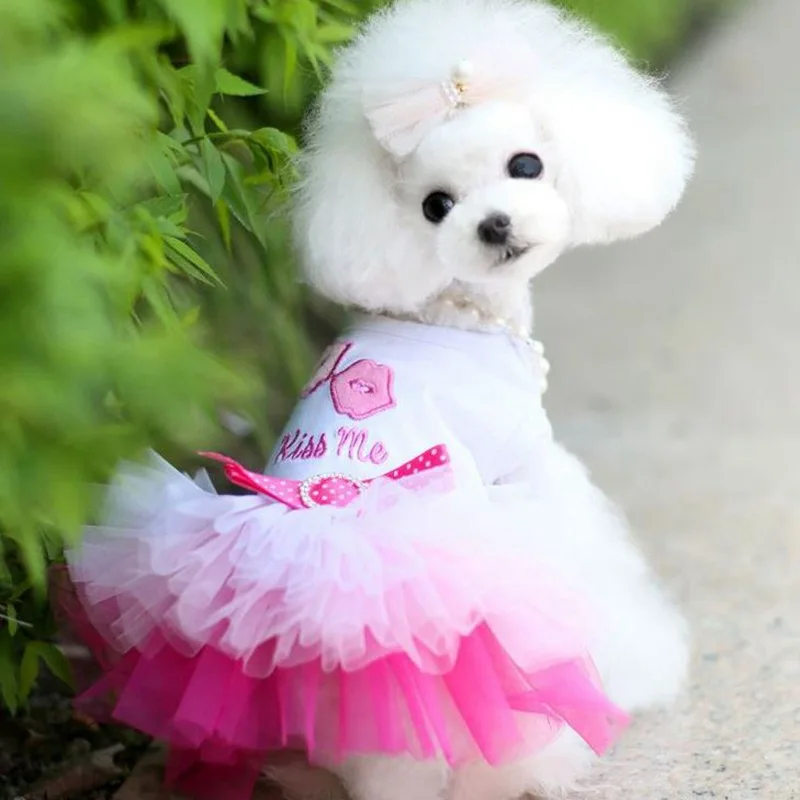 New summer dog dress Princess Dress teddy bear bipedal dress mesh Lace Shawl skirt