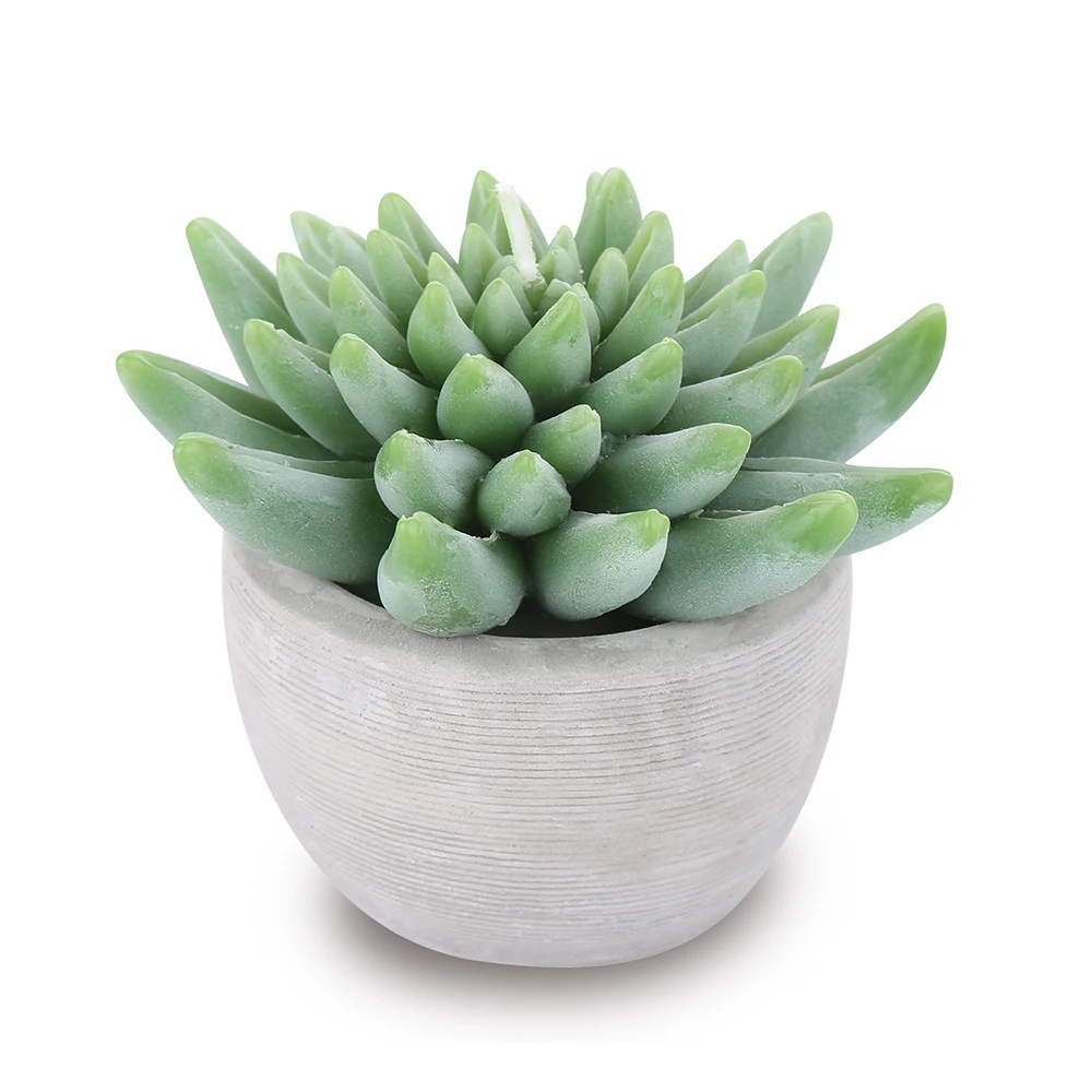 High quality cactus candle garden decoration for home