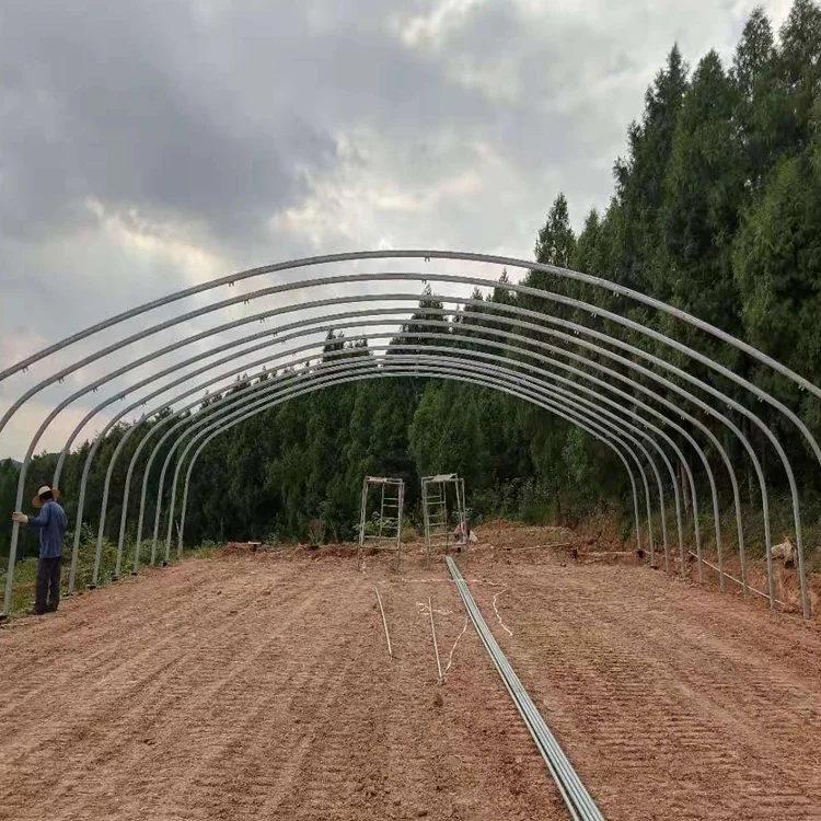 8x30m Agriculture Tomato Greenhouse Frames Plastic Film Single Span Tunnel Greenhouses