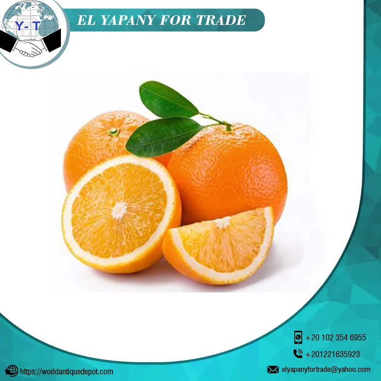 
Fresh Citrus Orange Fruit 