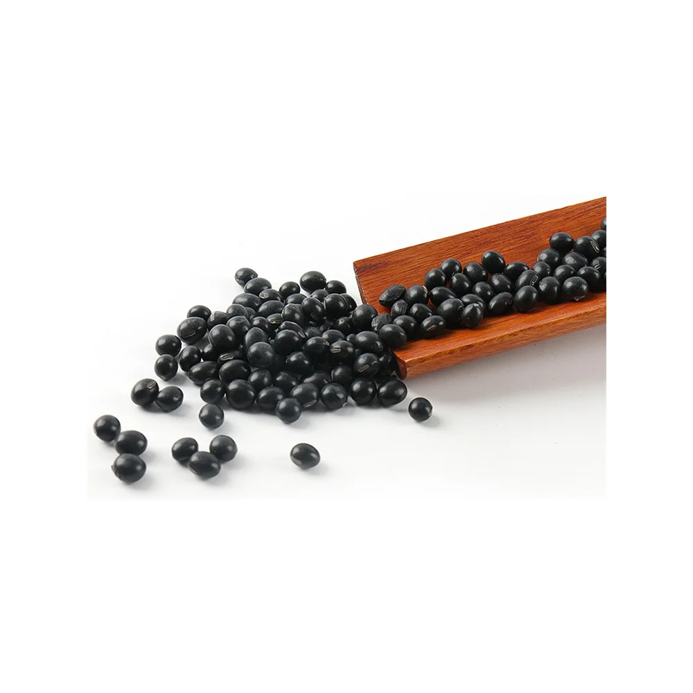 
Make canned black beans black beans Pakistan black vanilla beans 