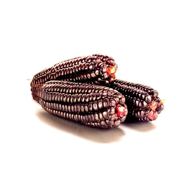 100% Pure Purple Corn Powder with No Added Chemicals And Preservatives