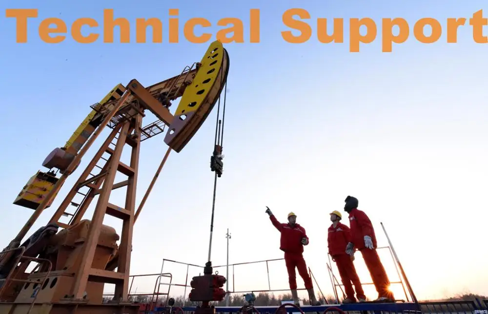 [RICHEM]PAM APAM anionic polyacrylamide powder for oil/gas/water drilling as water blocking polymer with technical support