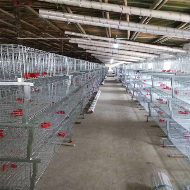 4 tier 128 chickens capacity poultry cage