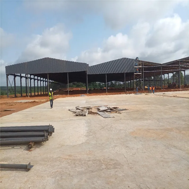 Modern and Economic Design Prefab Steel Structure Building Prefab Warehouse Workshop Aircraft Hangar Construction Material