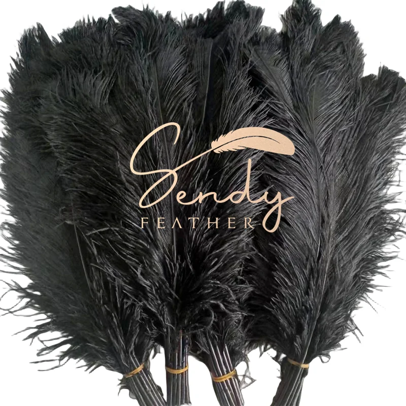 Перья страуса Длинные большие крылья перья в центре черного 60-65 см для свадебных карнавальных костюмов