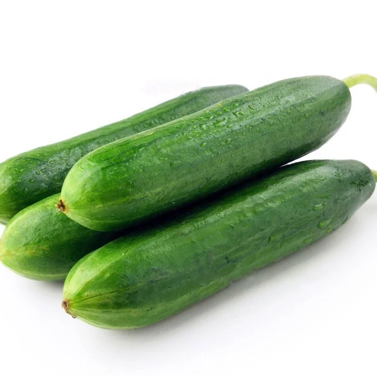 Новые гибридные семена огурца для выращивания мини-семян огурца из Китая