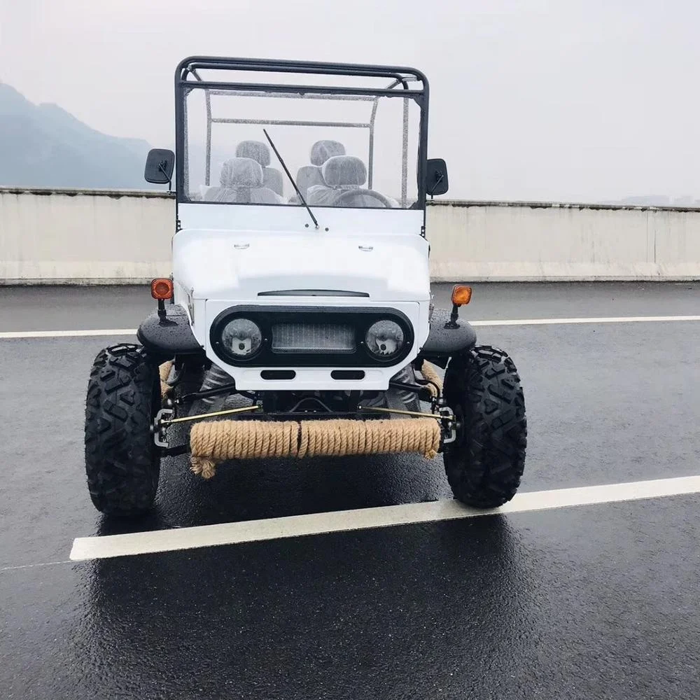 
China Street Legal Electric Mini Jeep utv For Adult 
